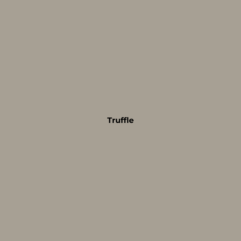 Wax Stick 509 Truffle