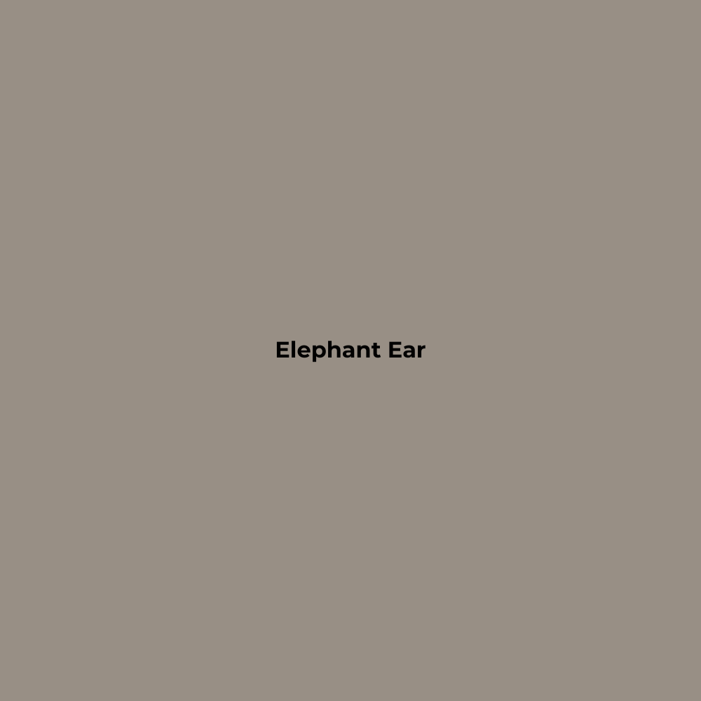 Wax Stick 510 Elephant Ear