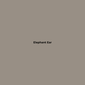 Wax Stick 510 Elephant Ear