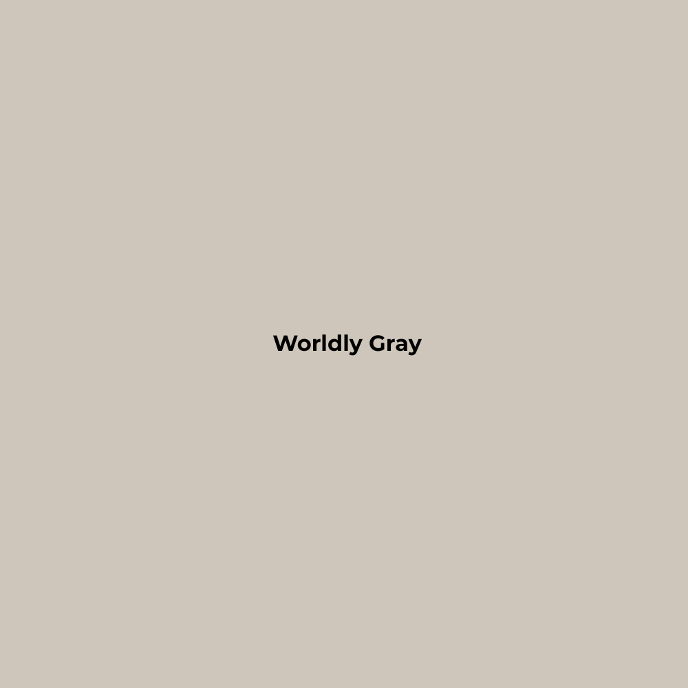 Wax Stick 500 Worldly Gray