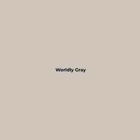 Wax Stick 500 Worldly Gray