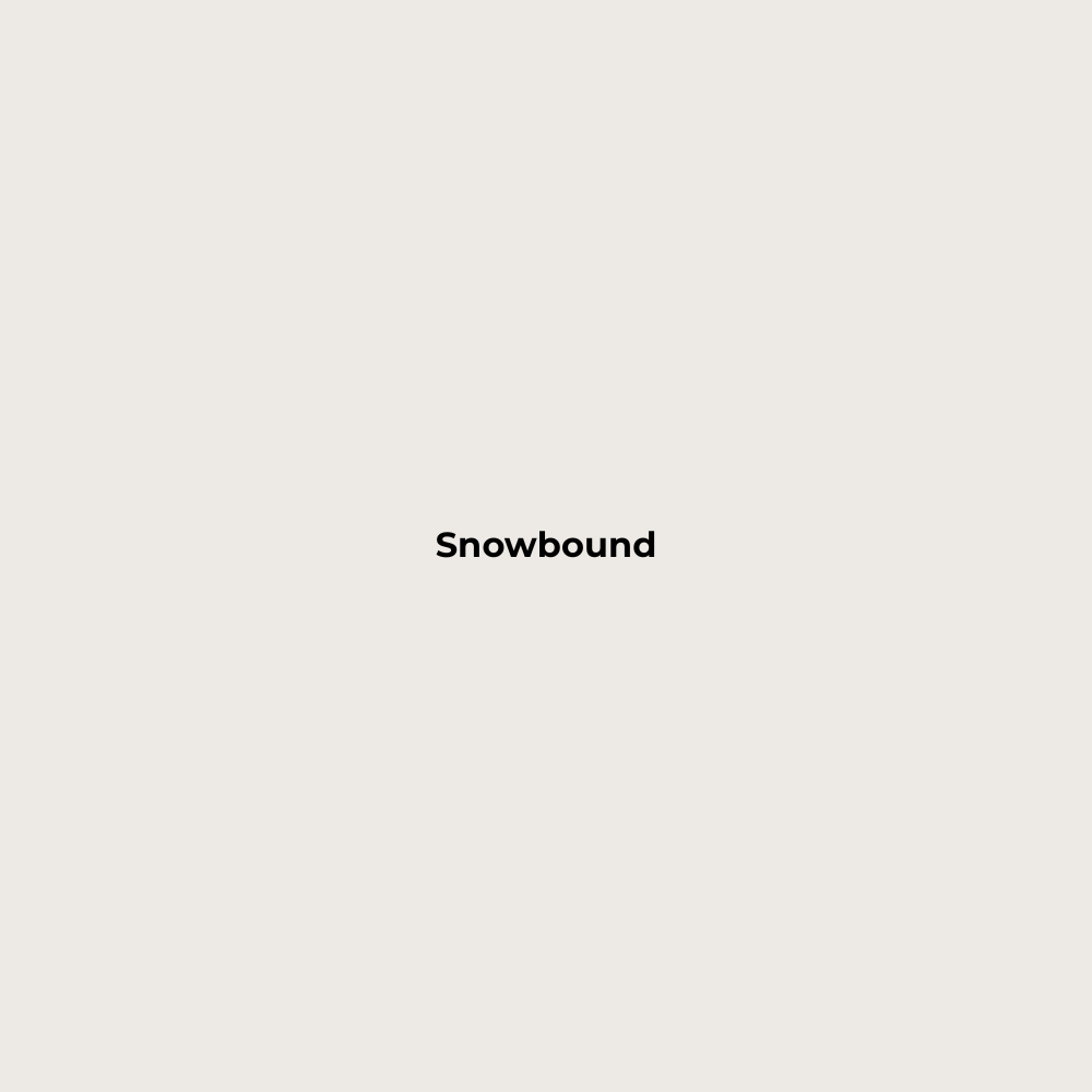 Wax Stick 206 Snowbound
