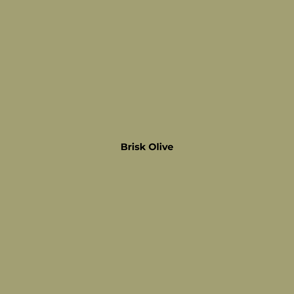 Wax Stick 300 Brisk Olive