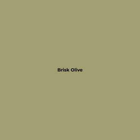 Wax Stick 300 Brisk Olive