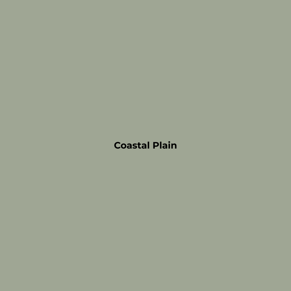 Wax Stick 302 Coastal Plain