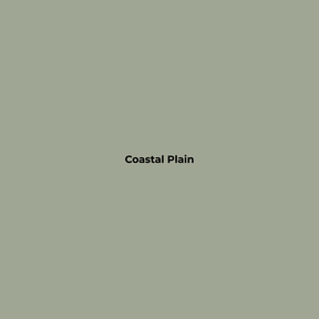 Wax Stick 302 Coastal Plain