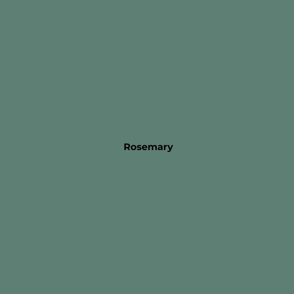 Wax Stick 309 Rosemary