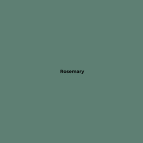 Wax Stick 309 Rosemary