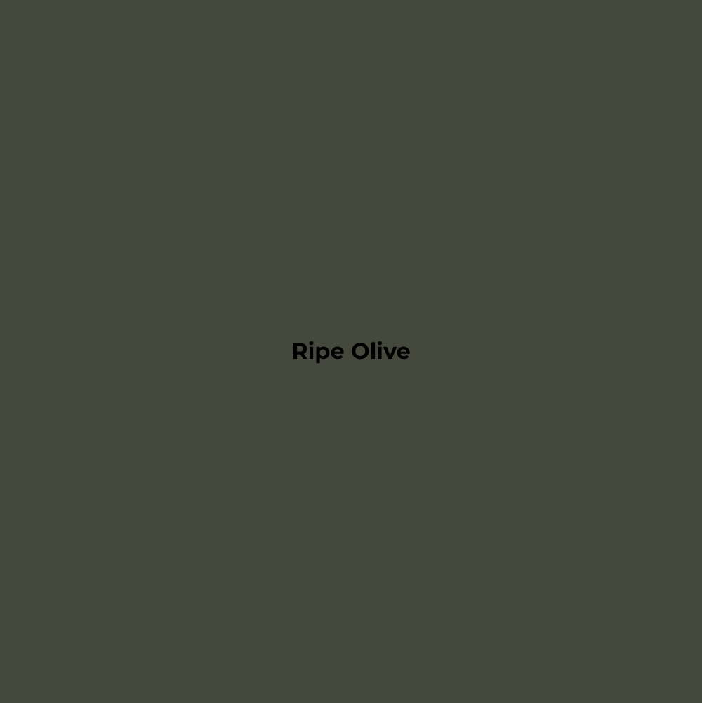 Wax Stick 311 Ripe Olive