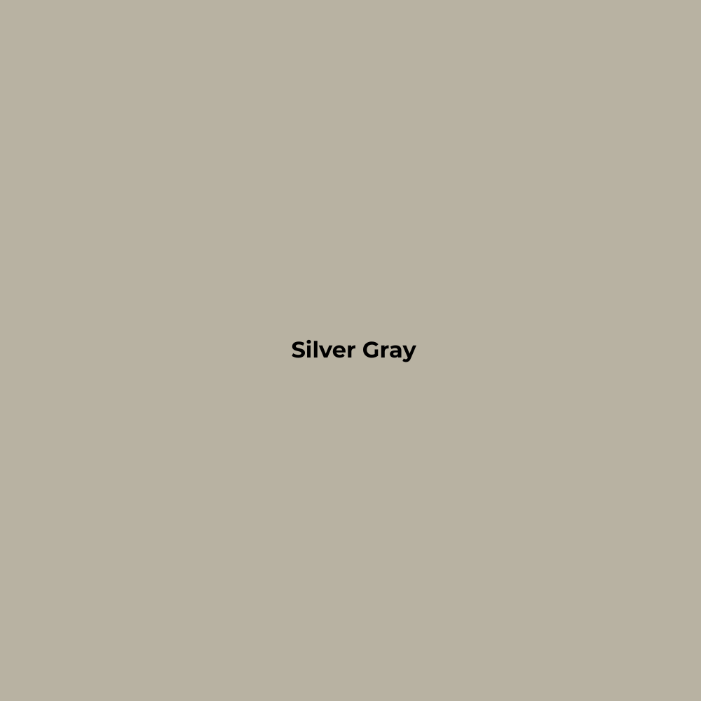Wax Stick 502 Silver Gray