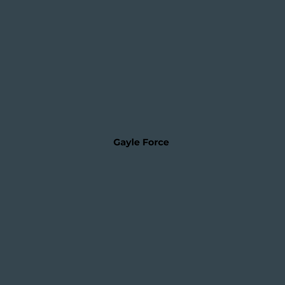 Wax Stick 408 Gayle Force