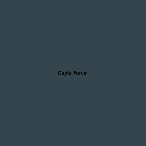 Wax Stick 408 Gayle Force