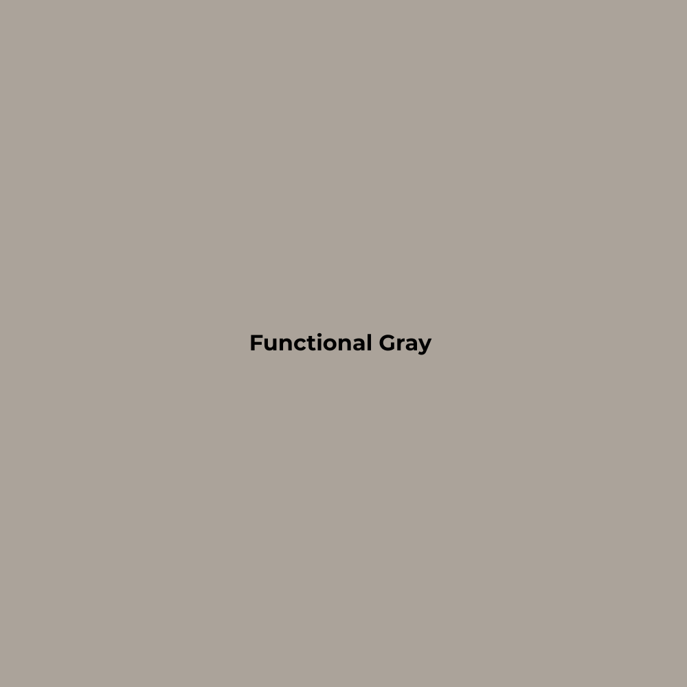 Wax Stick 505 Functional Gray