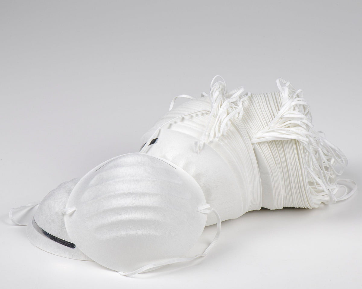 Sanding Dust Masks - 50 Per Box - Finishers Depot